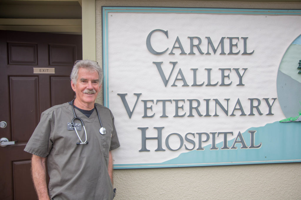 The CVVH Team Carmel Valley Veterinary Hospital