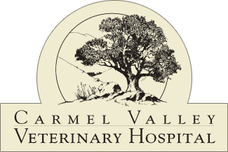 Carmel Valley Veterinary Hospital